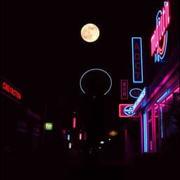 Moonlight Fuck (StreetDolls)