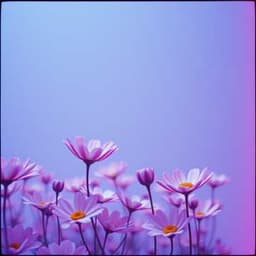 Frequency of Feelings