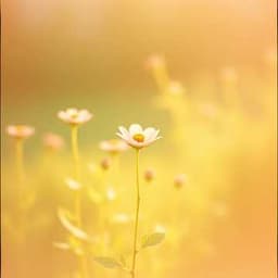 When I Saw You Look Up (her)