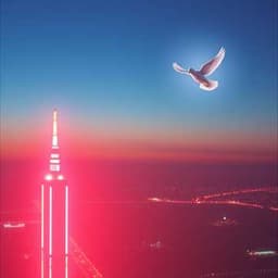 Lights My Darkest Day