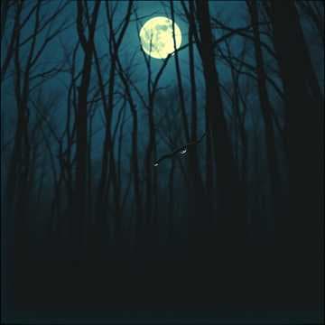 JIKA CINTA ITU...live