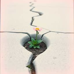 De Kunst van Vrouw Zijn