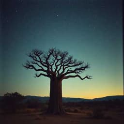 Under the Baobab Tree
