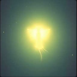 Témoignage de rencontres divines