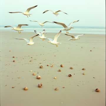 Pathologist 👣 (UK)