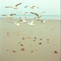 Pathologist 👣 (UK)