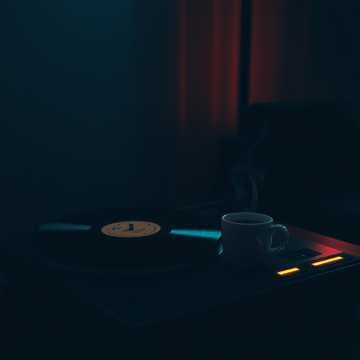 Every Little Thing We Fight