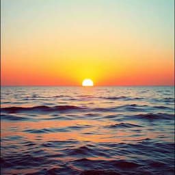 STAR - "King Afro Beat"