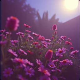 Tu Me Manques Trop Mon Joseph