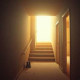 Back to the Basement